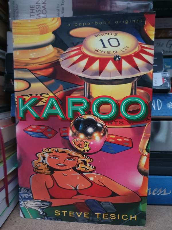 Karoo : Steve Tesich (Paperback)