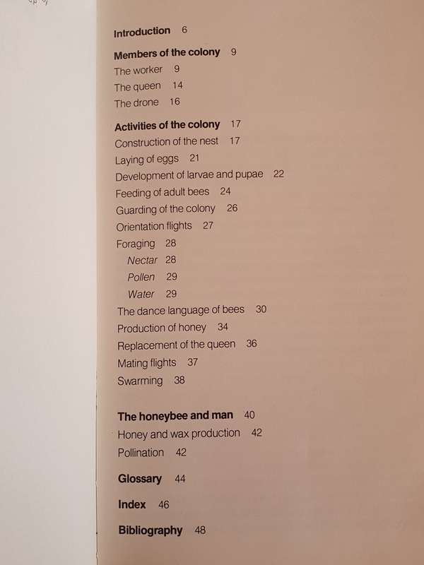 The Life of the honeybee: J.P. Marais (Hardcover)