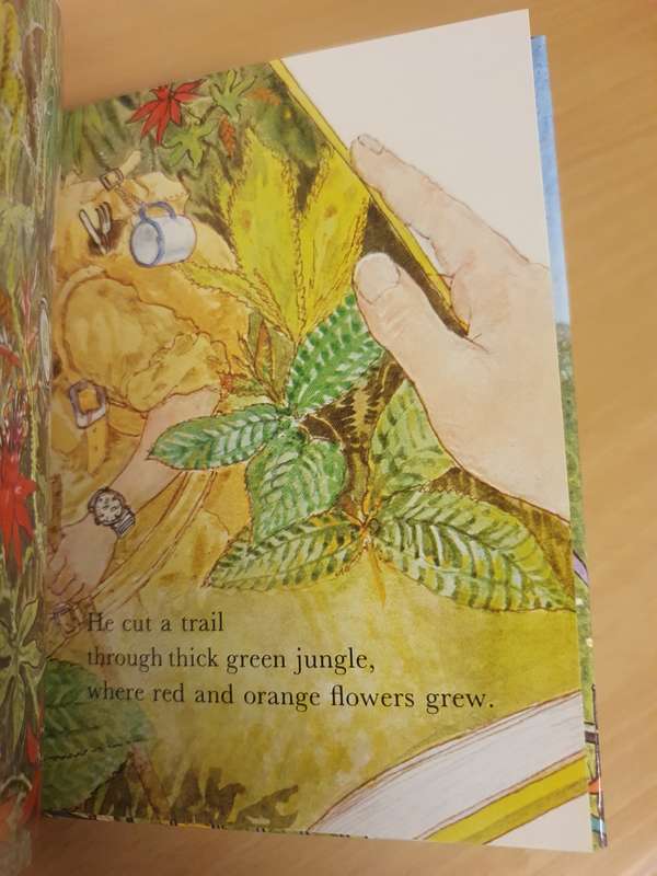 In the Park : Ruth Thomson (Hardcover) NEW CONDITION