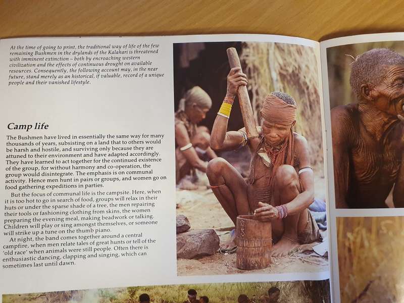 The Bushmen : Anthony Bannister (Paperback)