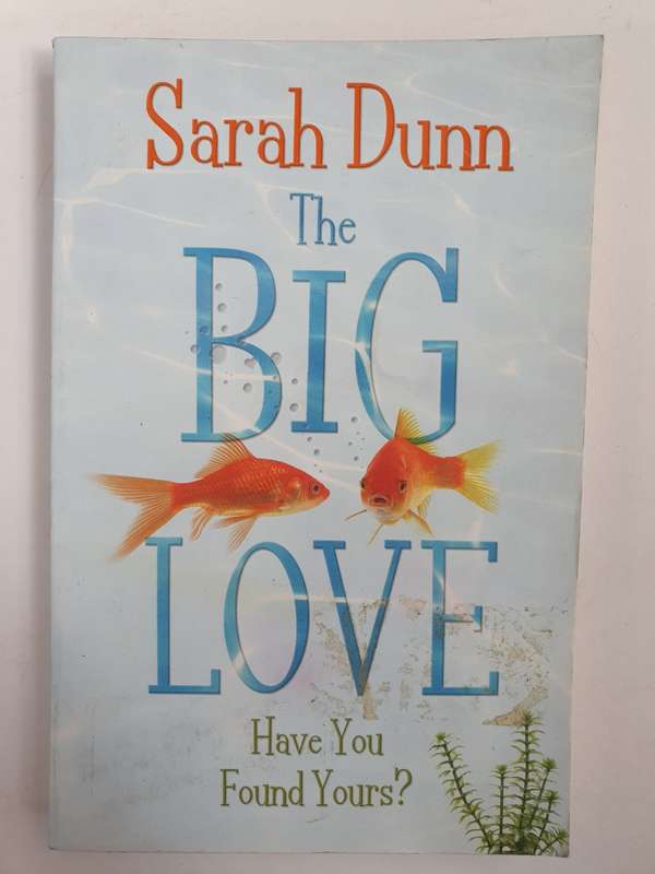 Big Love: Sarah Dunn (Paperback)