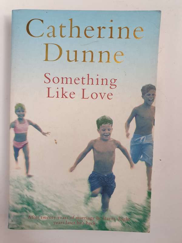 Something Like Love: Catherine Dunne (Paperback)
