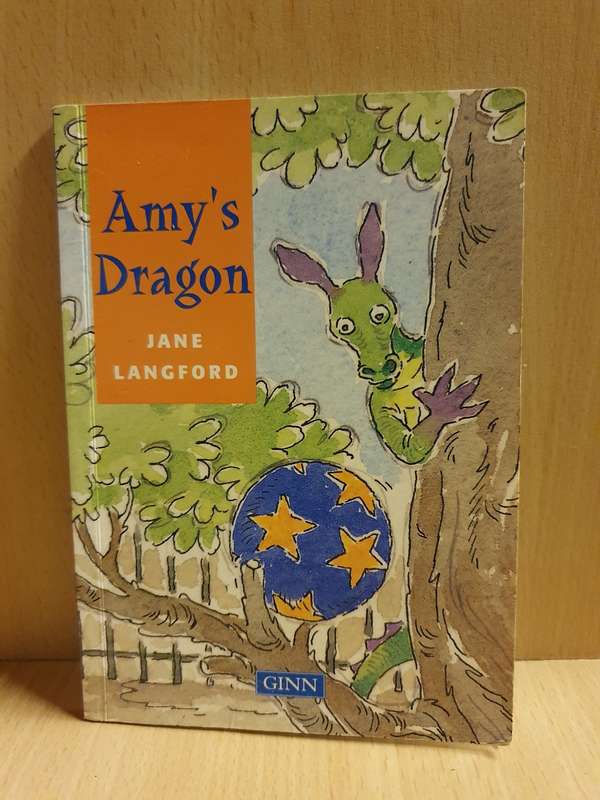 Amy`s Dragon: Jane Langford (Paperback)
