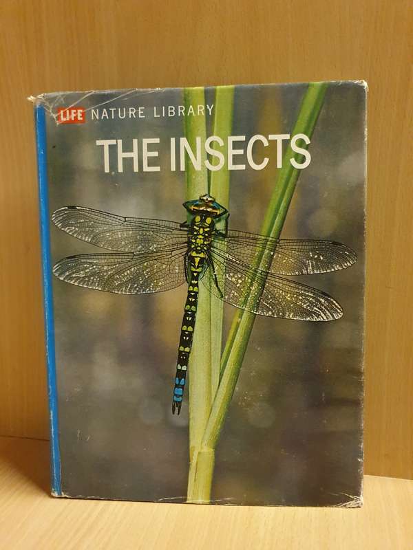 Life Nature Library - The Insects (Hardcover)