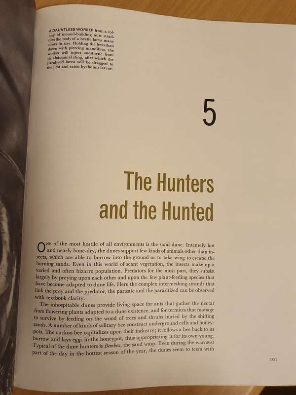 Life Nature Library - The Insects (Hardcover)