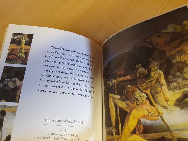 Salvador Dali 1904-1989 (Paperback)