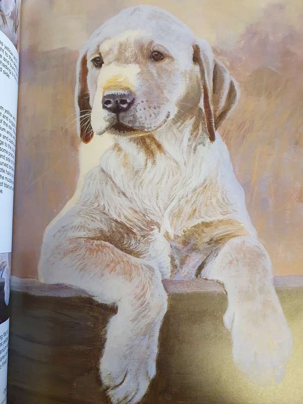 Ready to Paint - Dogs & Puppies in Acrylics : Paul Apps (Paperback)