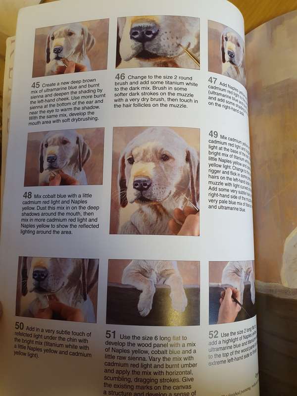 Ready to Paint - Dogs & Puppies in Acrylics : Paul Apps (Paperback)