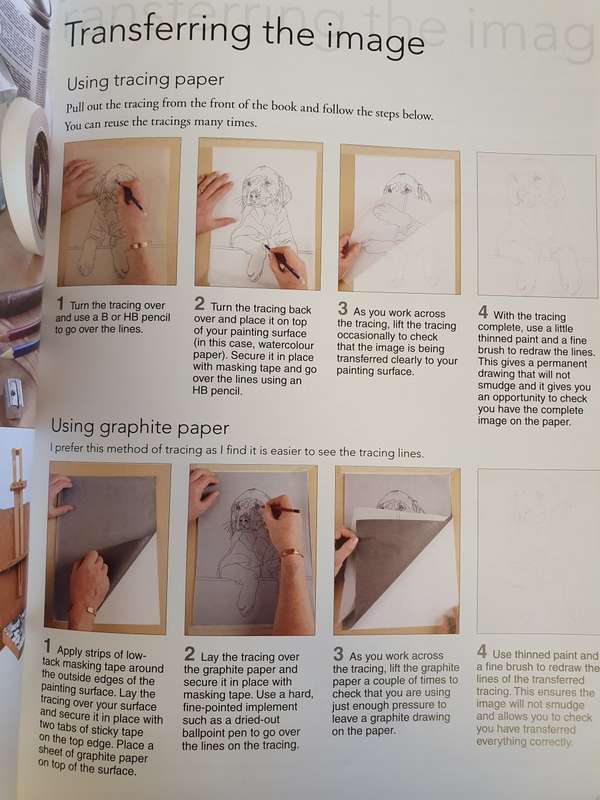 Ready to Paint - Dogs & Puppies in Acrylics : Paul Apps (Paperback)