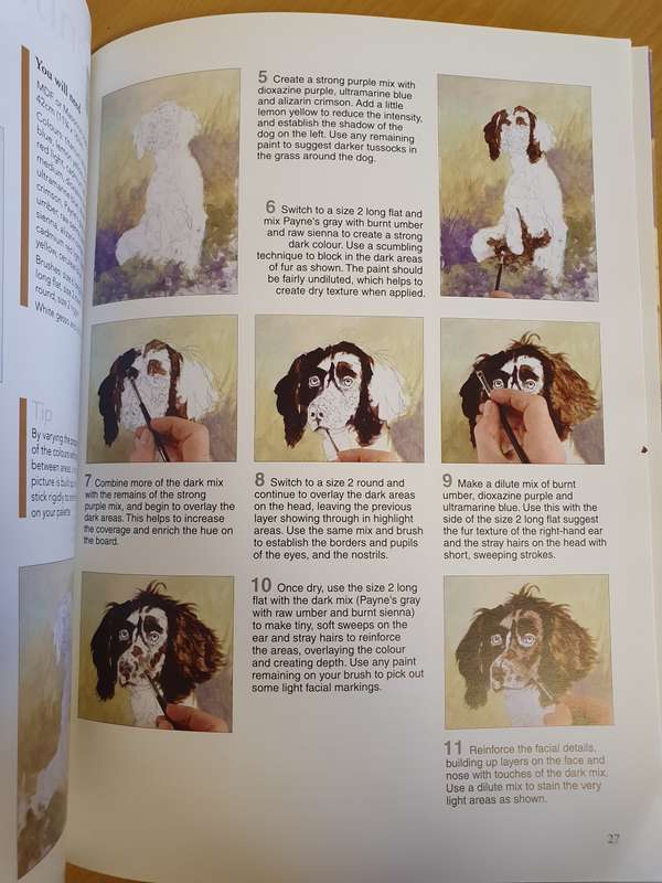Ready to Paint - Dogs & Puppies in Acrylics : Paul Apps (Paperback)