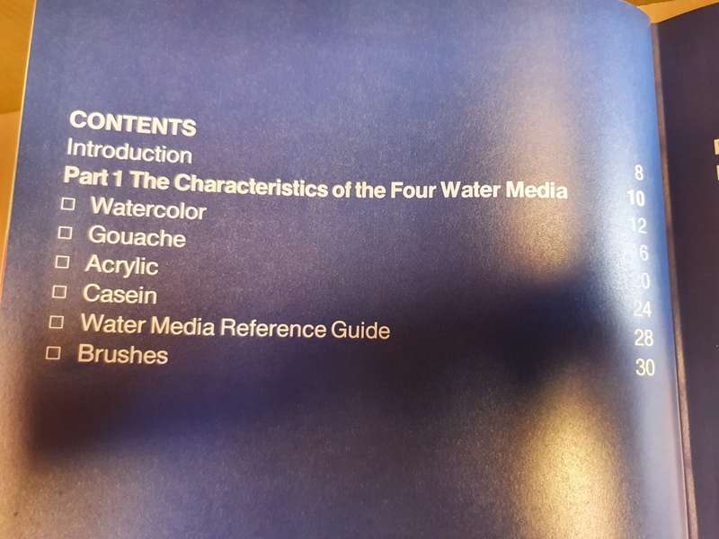 Water Media Techniques by Stephen Quiller and Barbara Whipple (Hardcover)