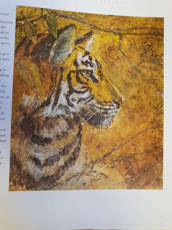 Art Techniques from Pencil to Paint - Texture & Effects: Paul Taggart (Hardcover)
