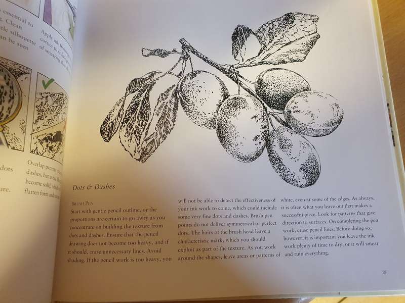 Art Techniques from Pencil to Paint - Texture & Effects: Paul Taggart (Hardcover)
