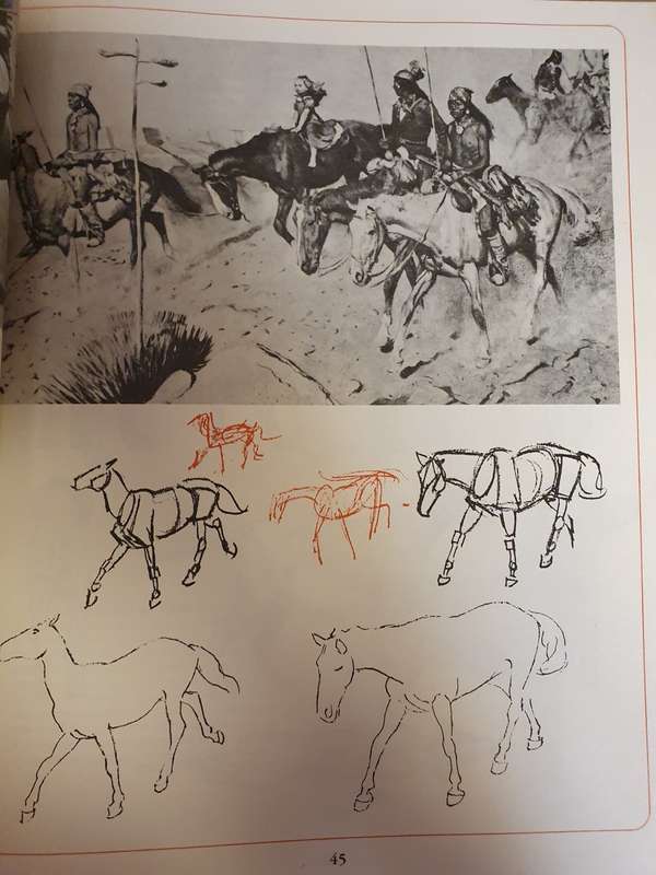 How to Draw Animals (Step-by-Step Method) Paperback)