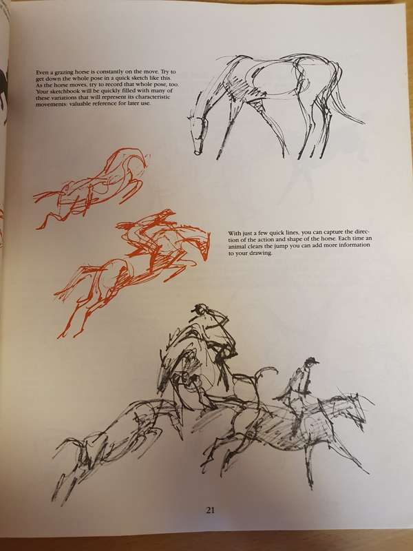 How to Draw Animals (Step-by-Step Method) Paperback)