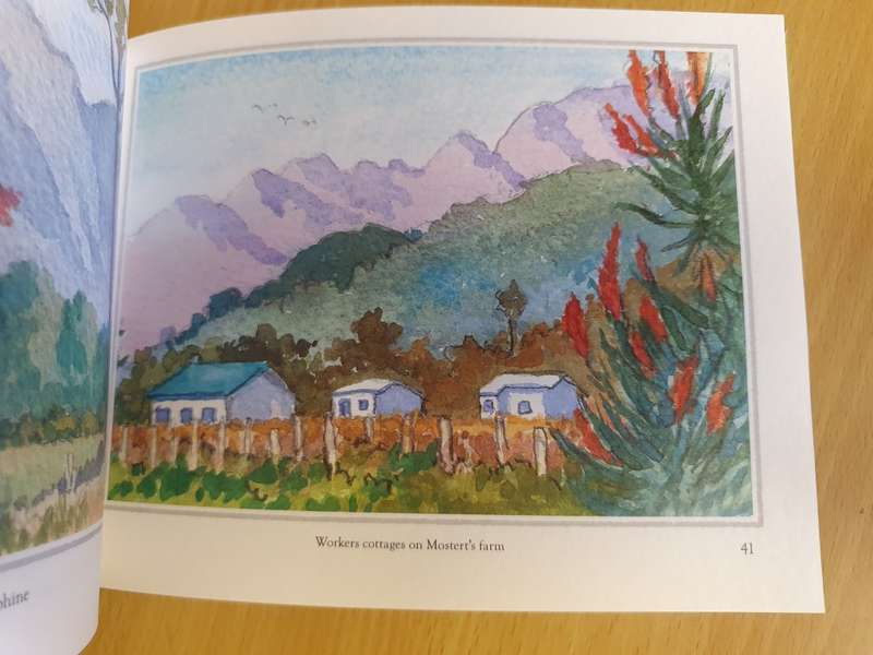 Watercolours of The Cape Winelands: Bridget Rowland (Hardcover)