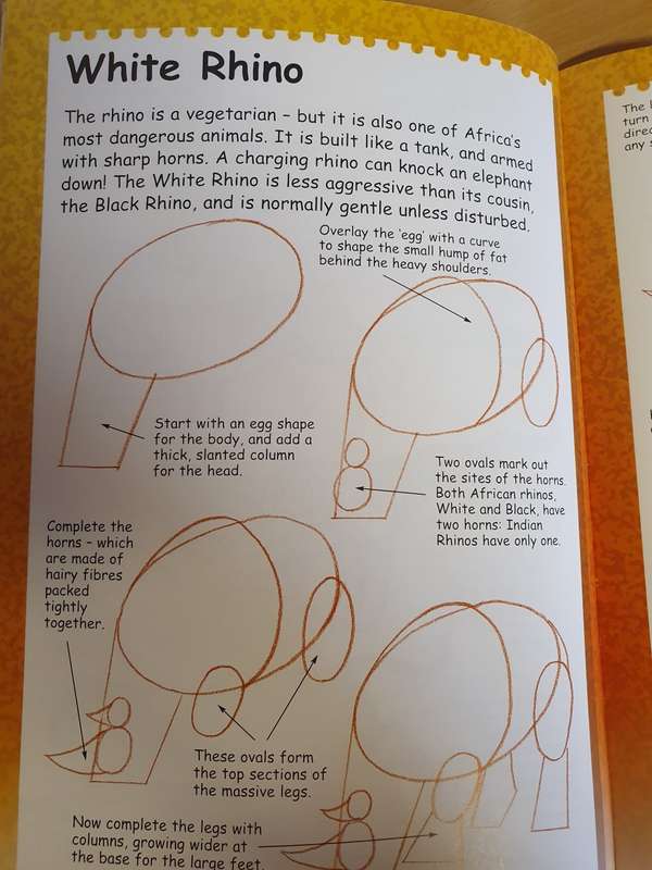 I Can Draw Wild Animals: Terry Longhurst (Paperback)
