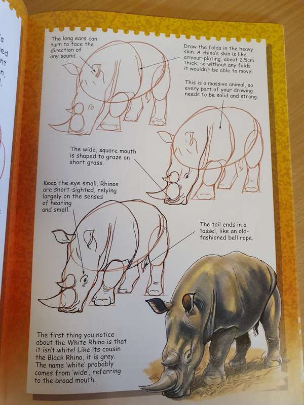 I Can Draw Wild Animals: Terry Longhurst (Paperback)