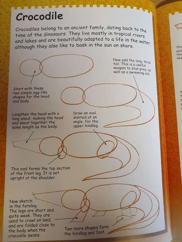 I Can Draw Wild Animals: Terry Longhurst (Paperback)