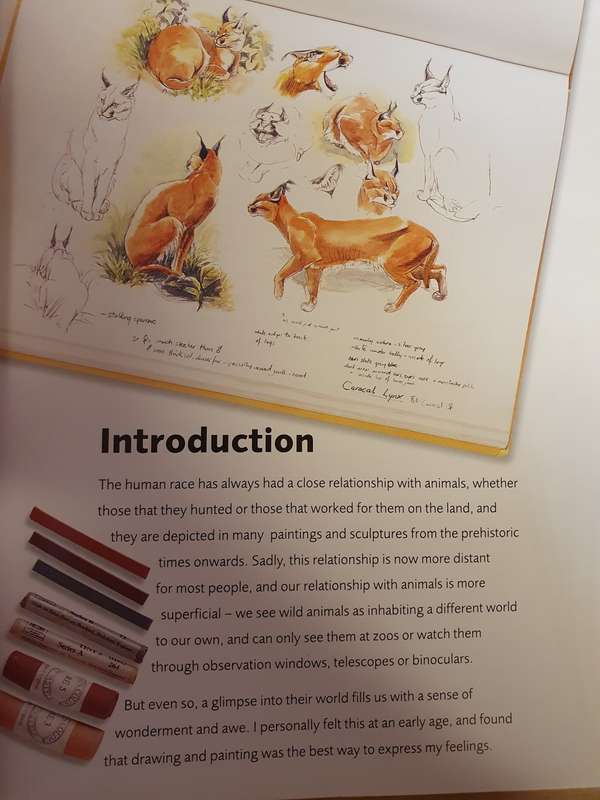 Draw and Sketch Animals - Sketch with confidence in 6 steps or less: David Boys (Paperback)