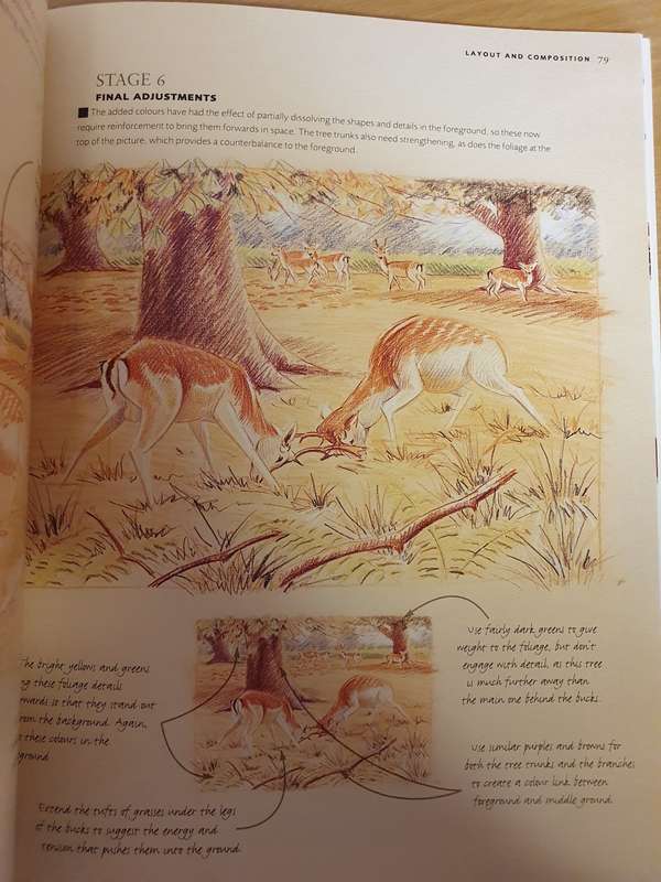 Draw and Sketch Animals - Sketch with confidence in 6 steps or less: David Boys (Paperback)