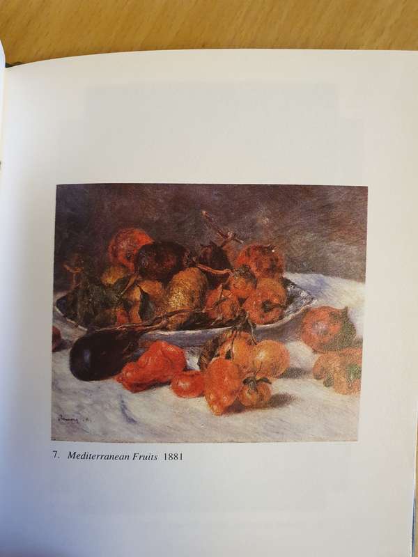 Pierre-Auguste Renoir Paintings (Hardcover)