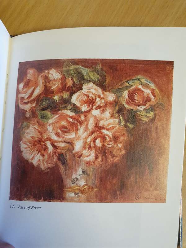 Pierre-Auguste Renoir Paintings (Hardcover)