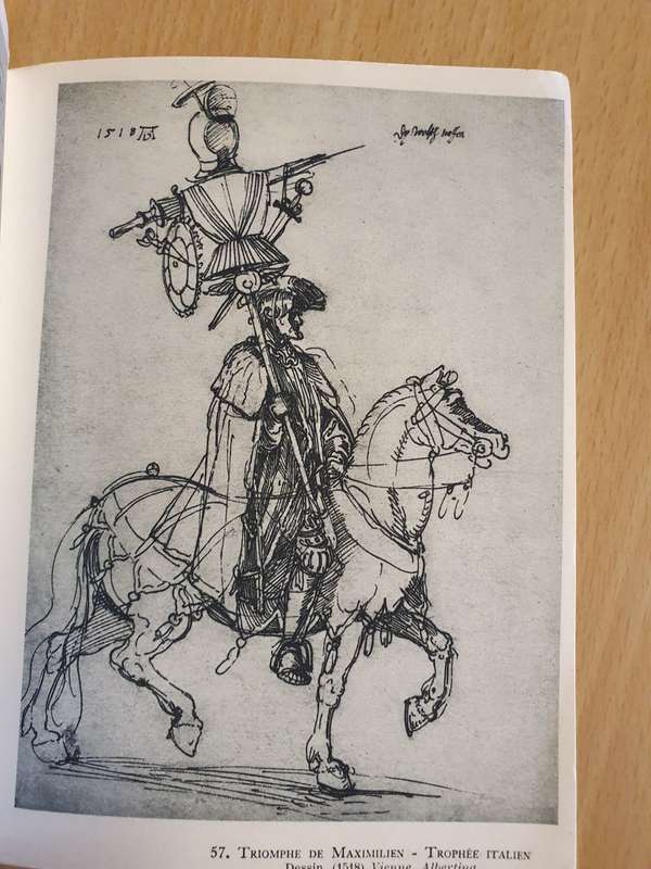 Albert Durer (Paperback)