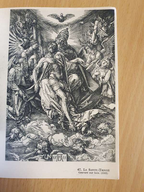 Albert Durer (Paperback)