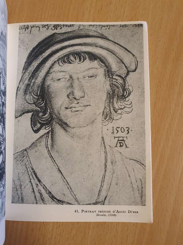 Albert Durer (Paperback)