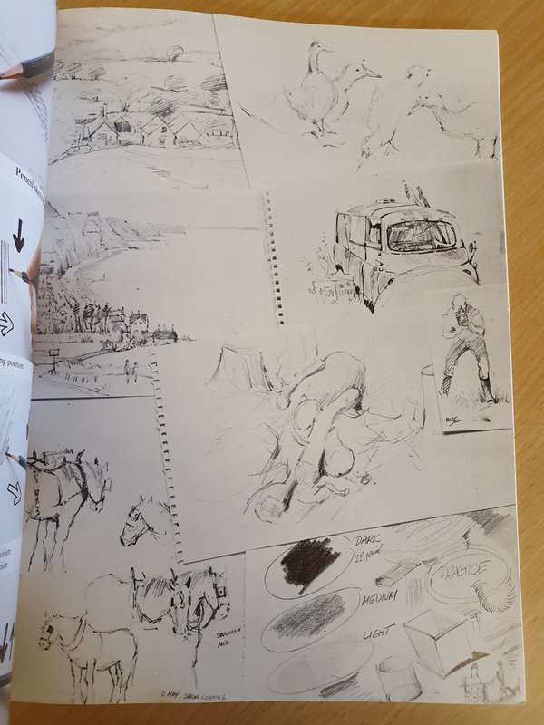 Learn to Sketch : Alwyn Crawshaw (Paperback)