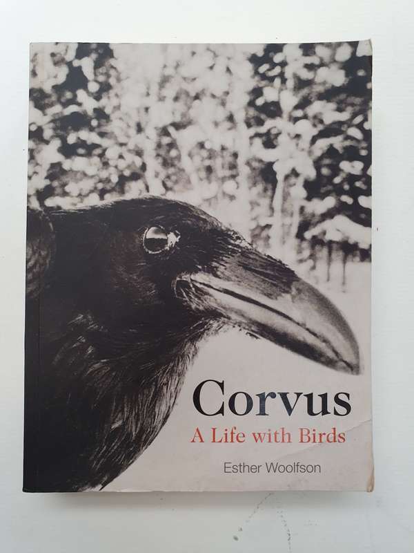 Corvus - A Life with Birds: Esther Woolfson (Paperback)