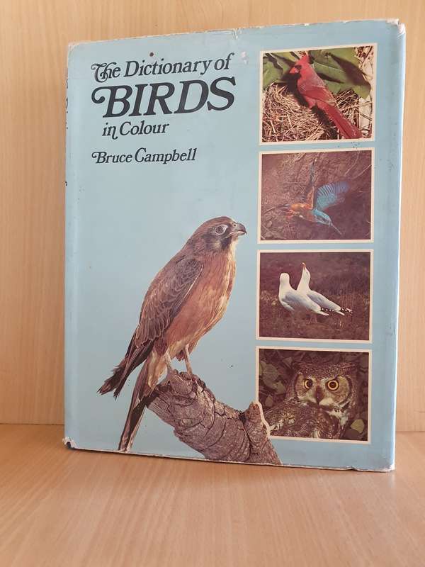 The Dictionary of Birds in Colour : Bruce Campbell (Hardcover)