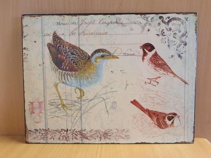 Metal Wall Sign - Birds (35cm x 26cm)