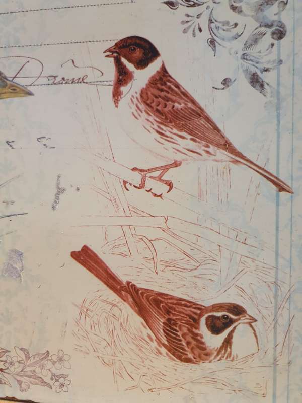 Metal Wall Sign - Birds (35cm x 26cm)