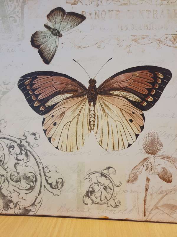 Metal Wall Plaque - Butterflies  (30cm x 30cm)