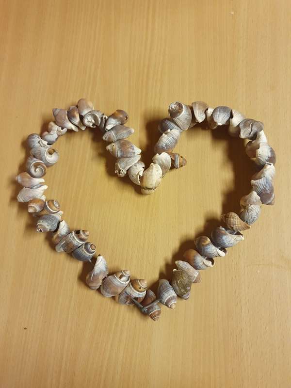 Heart Shaped Seashell Display (24cm x 27cm)