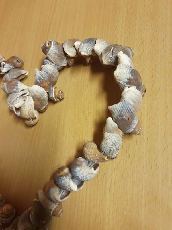 Heart Shaped Seashell Display (24cm x 27cm)