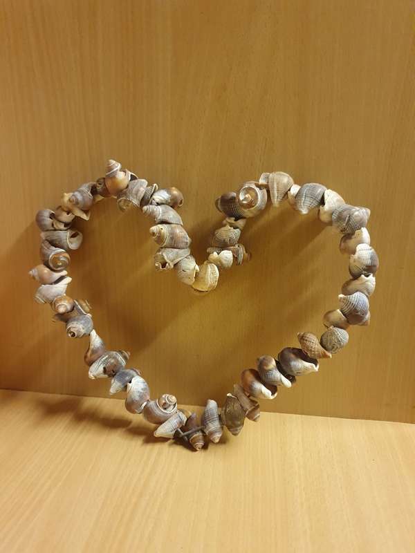 Heart Shaped Seashell Display (24cm x 27cm)
