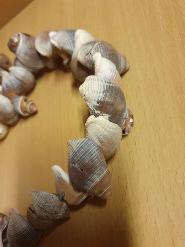 Heart Shaped Seashell Display (24cm x 27cm)