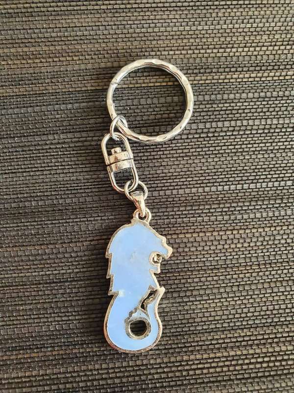 Keyring/Keychain