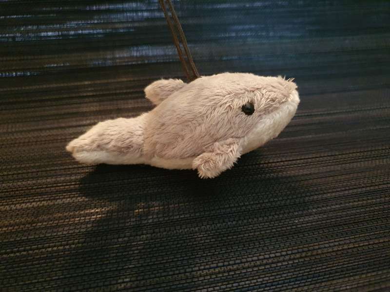 Bush Babies Whale Keyring/Keychain