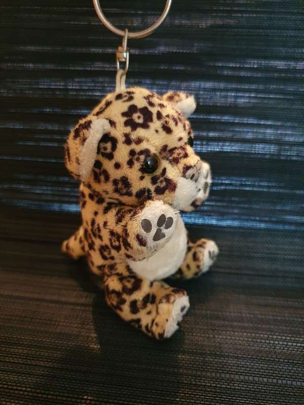 Keyring/Keychain