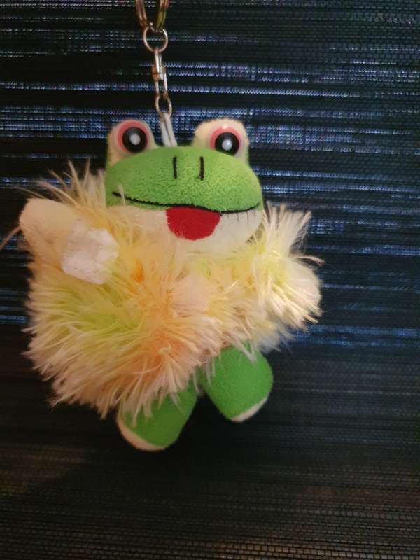 Frog Keyring/Keychain