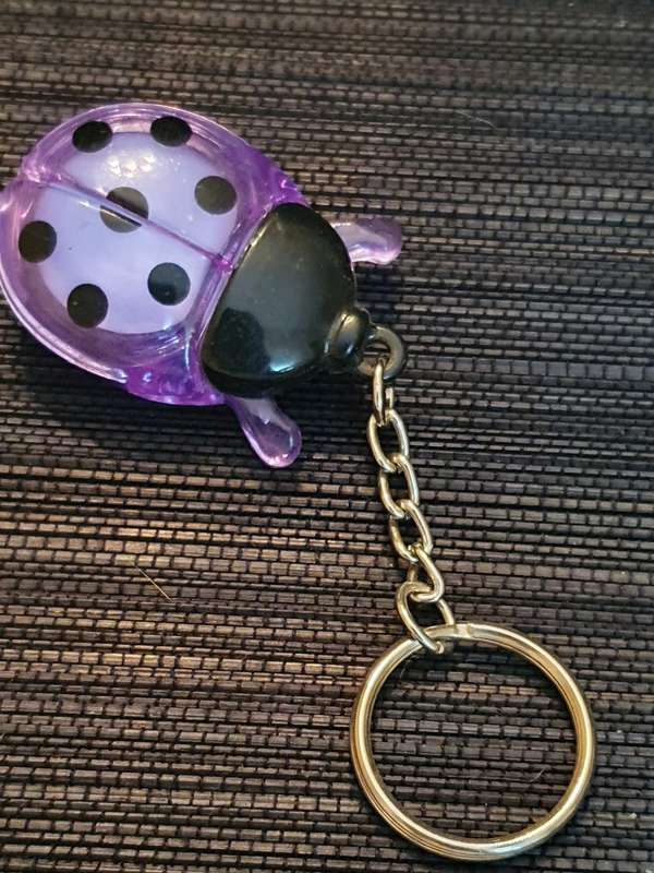 Beetle Keyring/Keychain