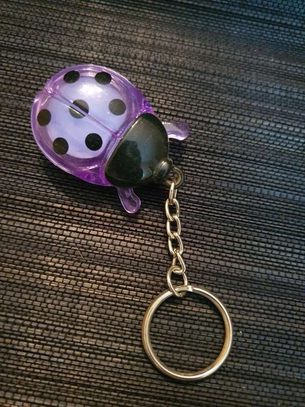 Beetle Keyring/Keychain