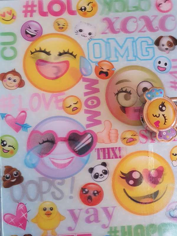 Journal/Diary (18cm x 13cm)  NEW CONDITION
