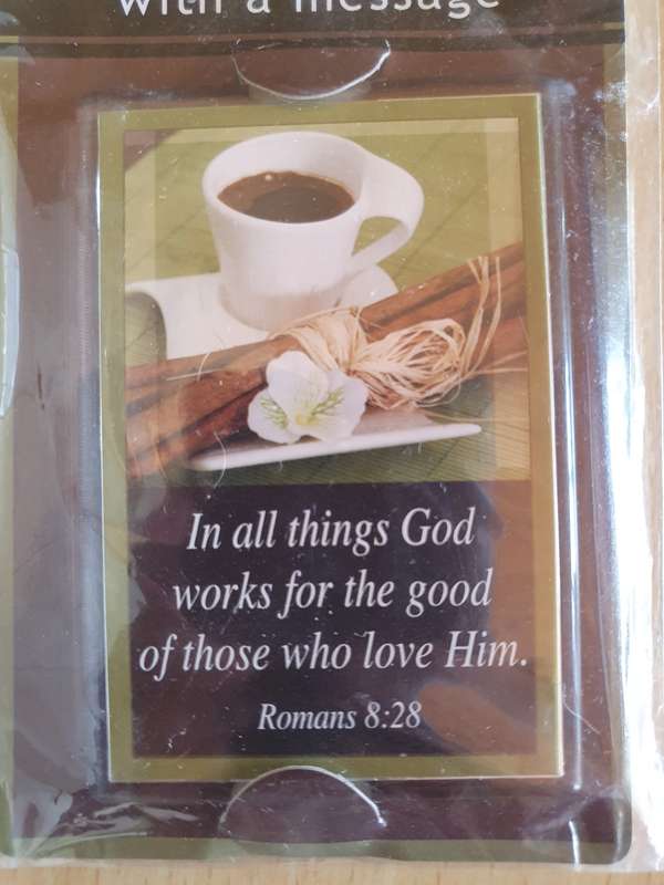 In all things God works for the good of those who love Him - Fridge Magnet