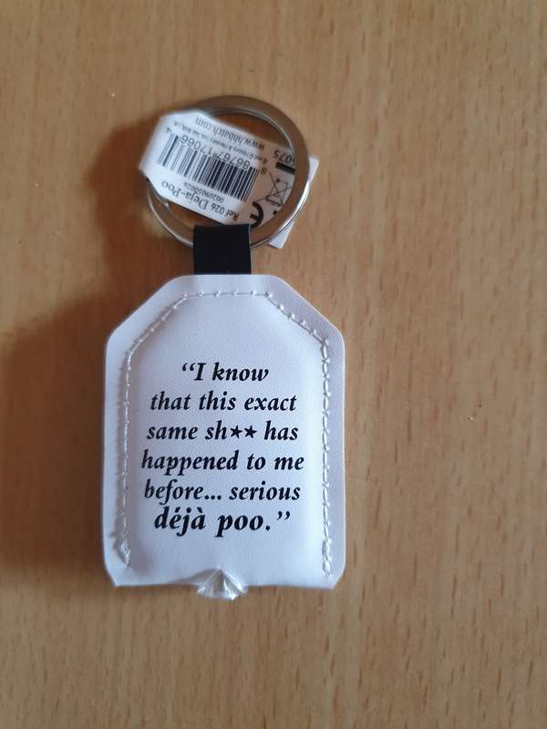 Deja poo Keyring/Keychain (New condition)