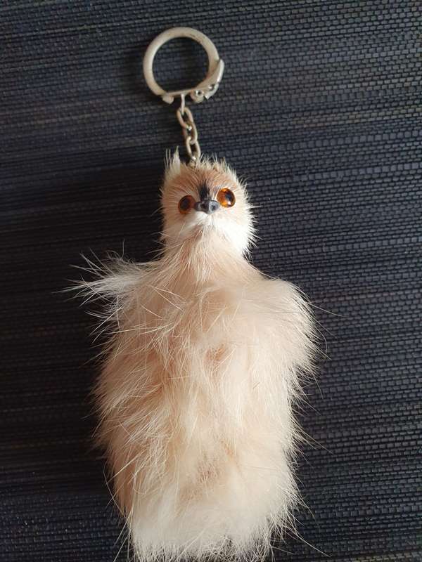 Keyring/Keychain